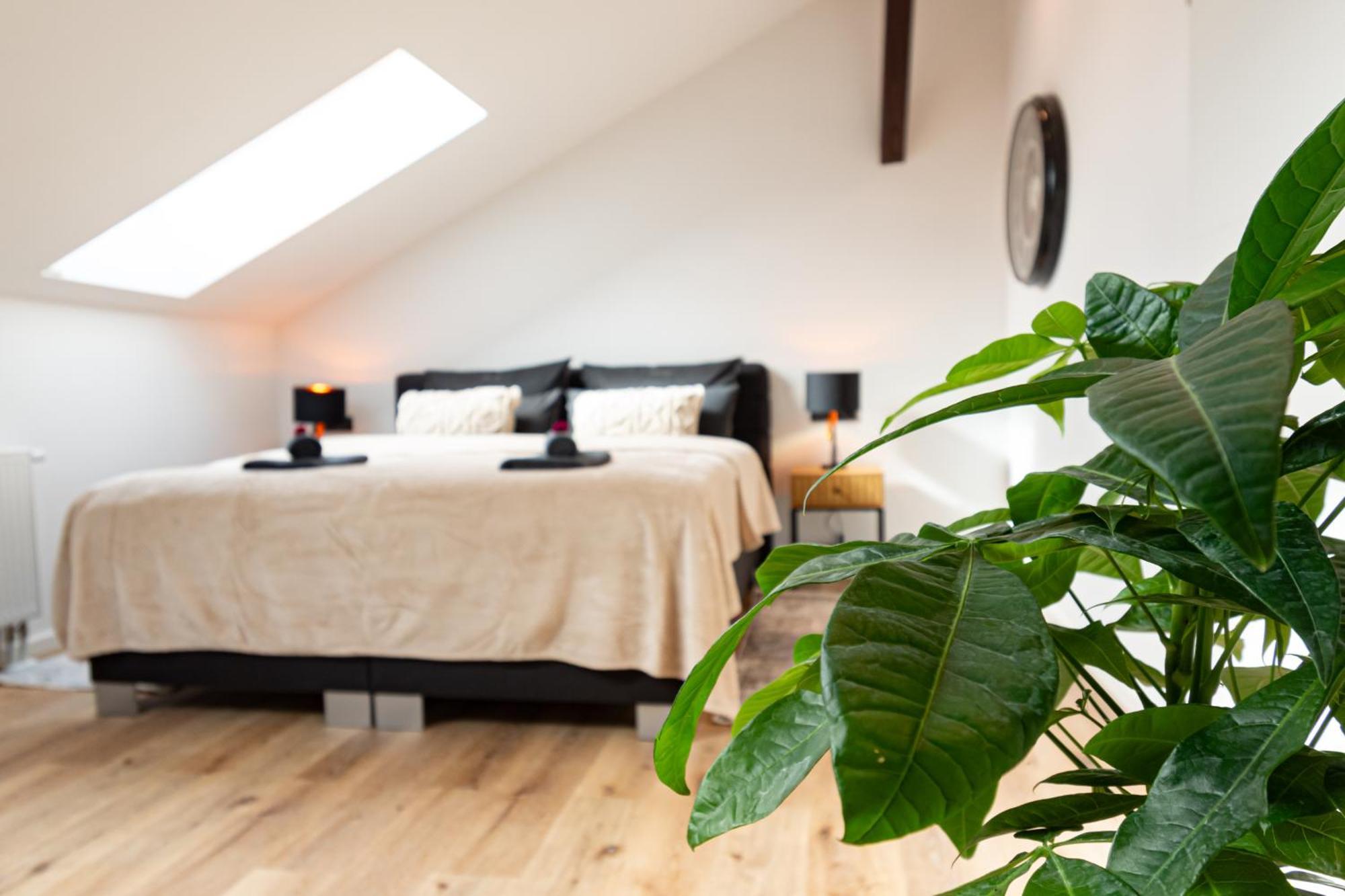 Sweethome - Zentral - Kueche & Parkplatz, Wifi Halle  外观 照片
